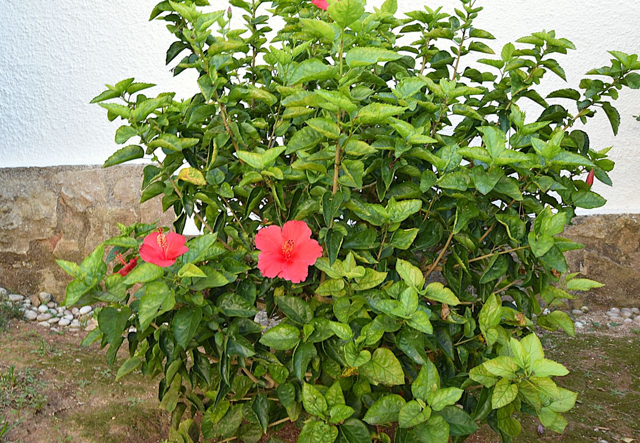 Ferienwohnung in Javea - Apartment in Jávea mit Pool, in Strandnähe