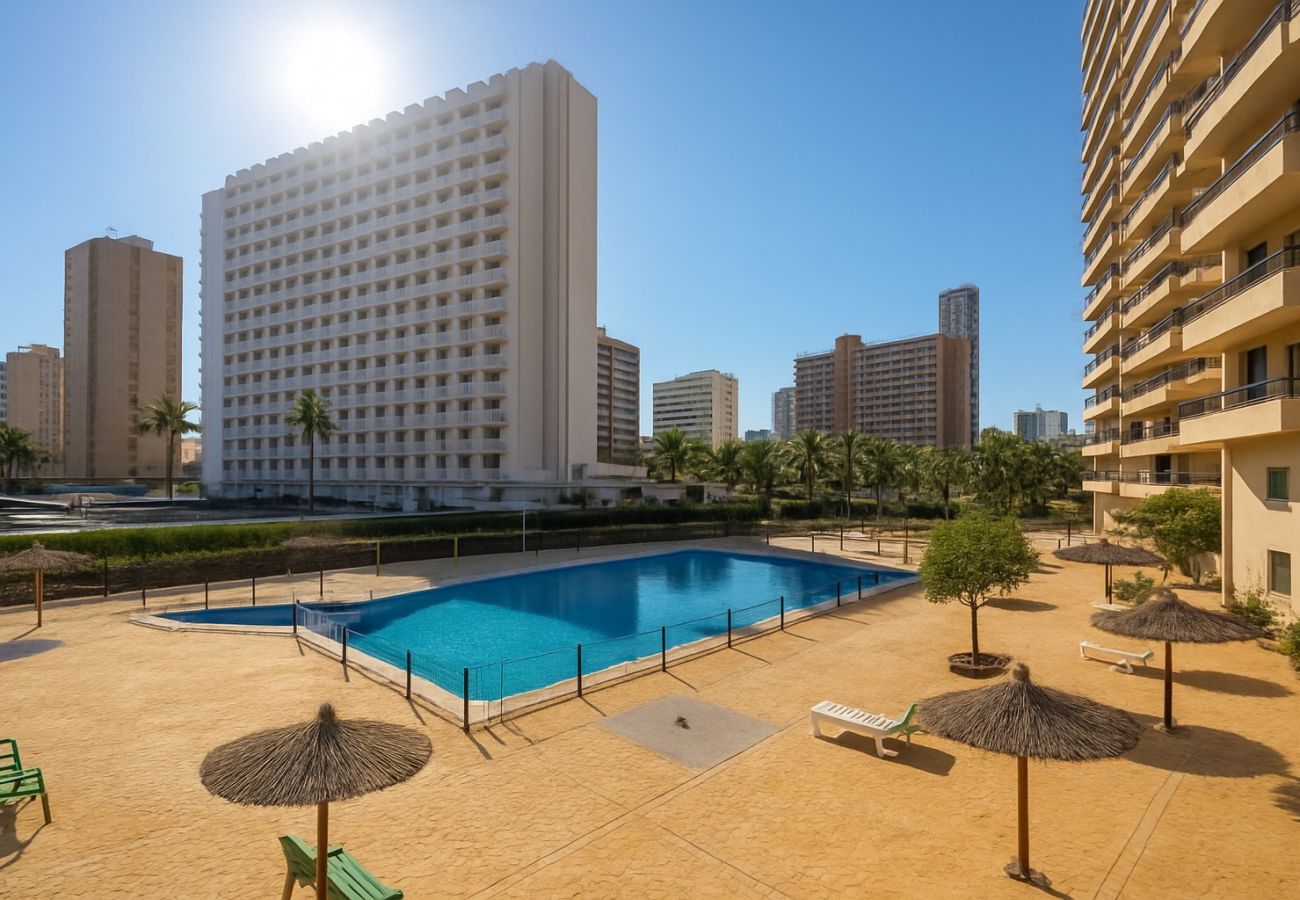 Apartamento en Benidorm - Acogedor apartamento en Benidorm a 500 m de la Playa de Levante