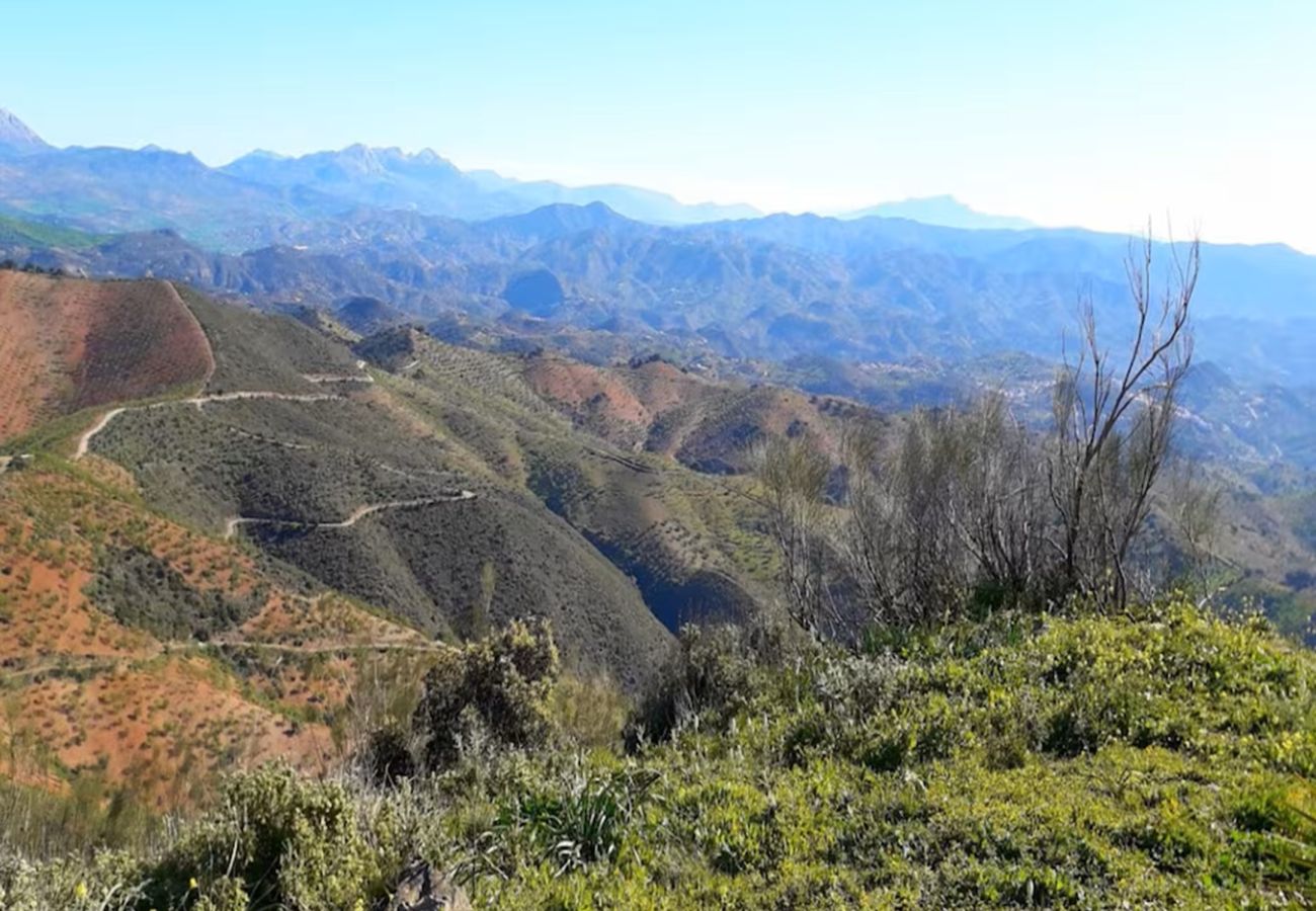 Villa in Almogía - Casita in de natuur met zwembad, nabij Málaga