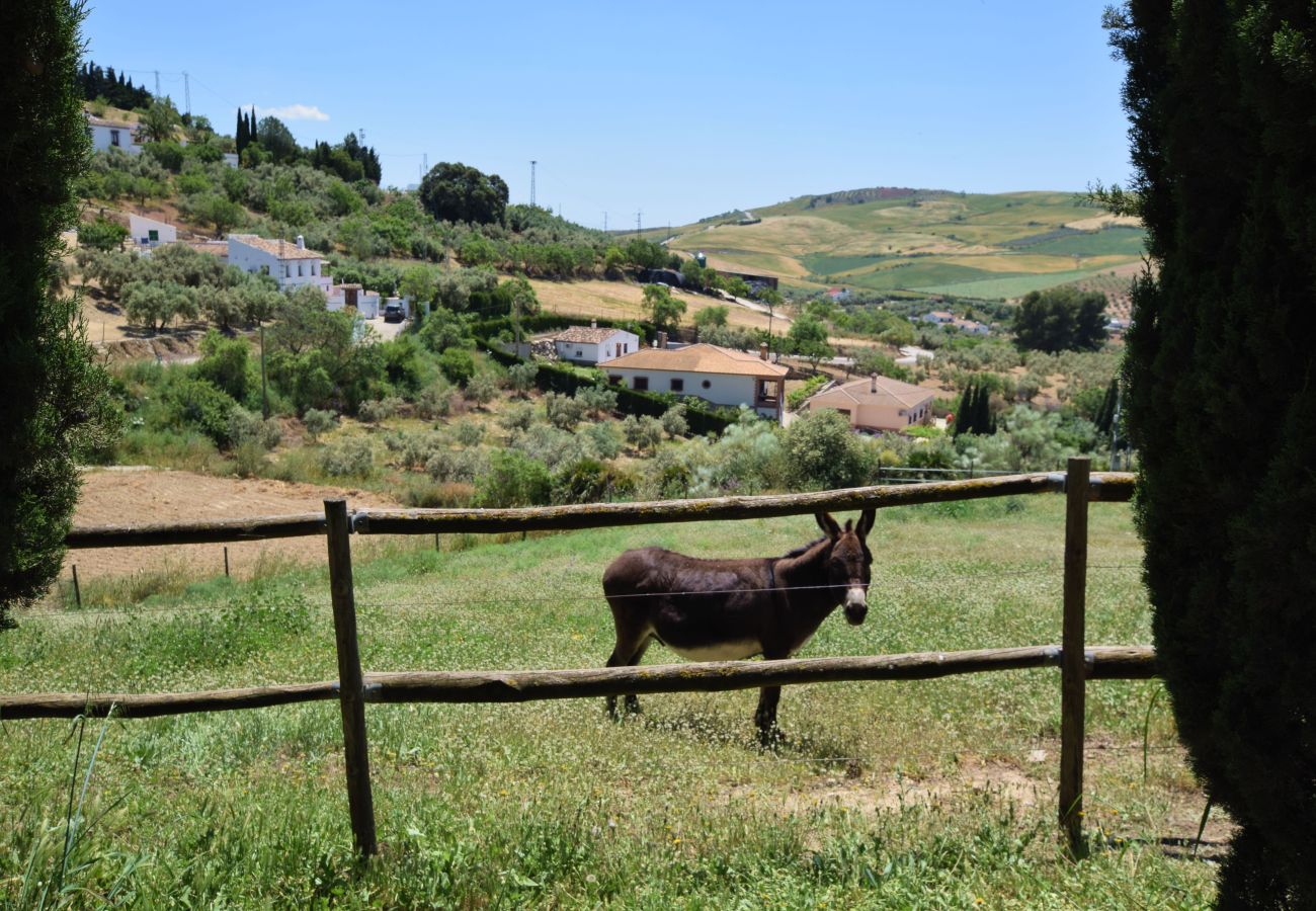 House in Antequera - Charming cottage near El Torcal de Antequera