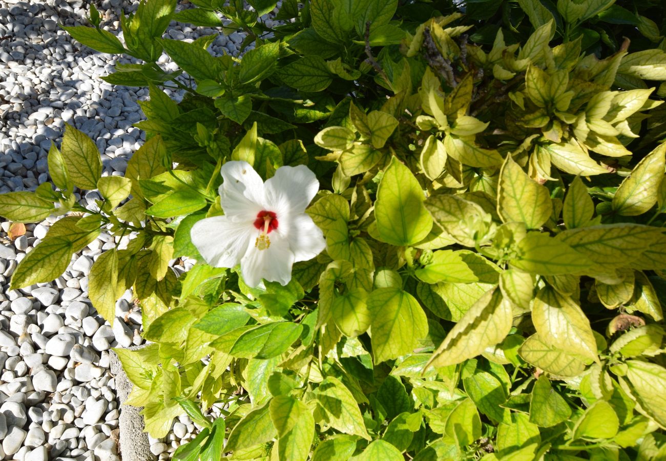 Villa in San Fulgencio - Villa Levante, Modern Costa Blanca villa with pool and sunny terrace