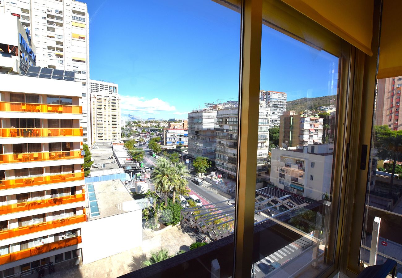 Apartment in Benidorm - Cozy apartment in Benidorm 500m from Playa de Levante