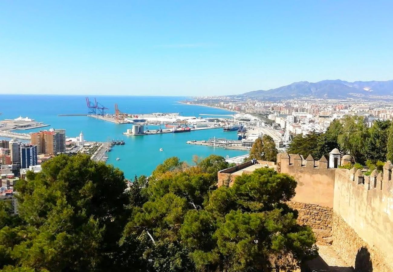 View from Gibralfaro over the harbour and towards Málaga